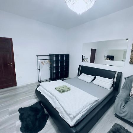Piata Libertatii Apartament 1 Room Timișoara Zewnętrze zdjęcie