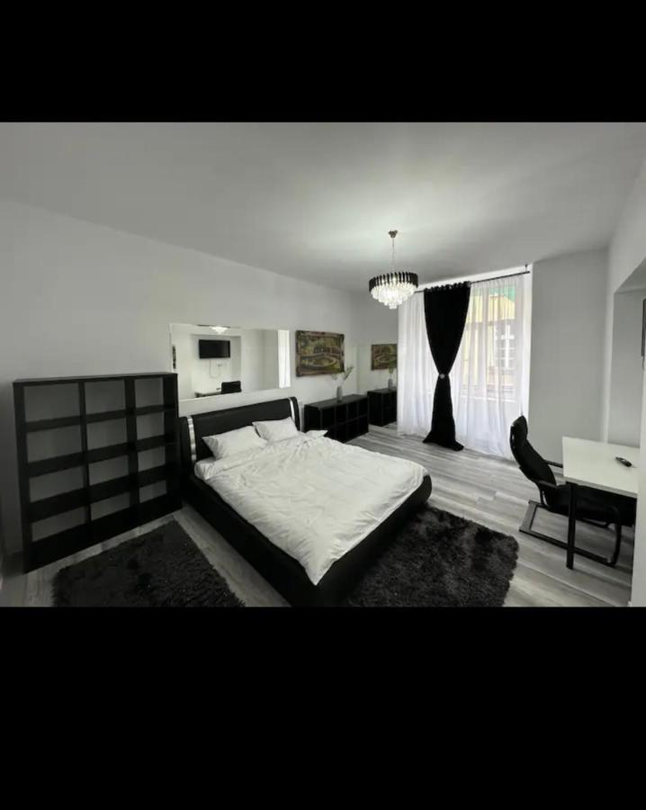 Piata Libertatii Apartament 1 Room Timișoara Zewnętrze zdjęcie