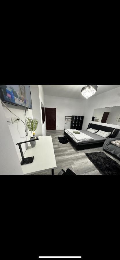 Piata Libertatii Apartament 1 Room Timișoara Zewnętrze zdjęcie