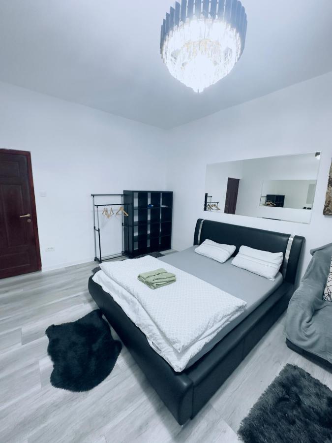 Piata Libertatii Apartament 1 Room Timișoara Zewnętrze zdjęcie